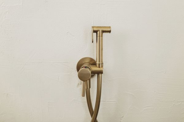 Cost of Bidet Plumbing in Salt Lake City