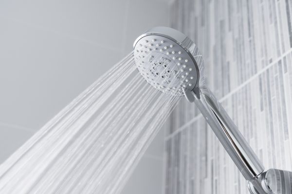 Cost of Showerhead Replacement in Salt Lake City