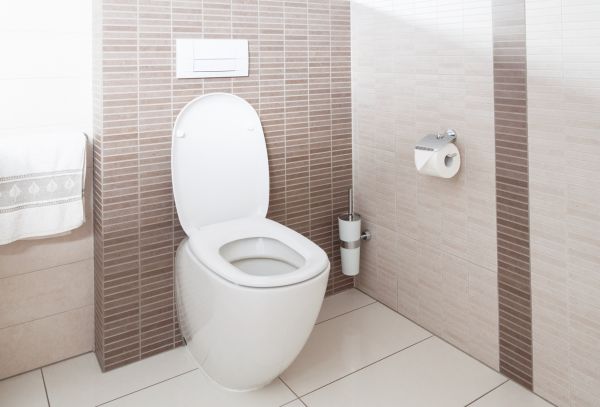 Cost of Toilet Plumbing Installation in Salt Lake City
